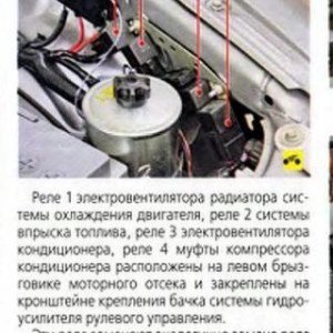 лабуда всякая
