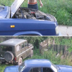 Volga 3110