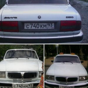 волжанка