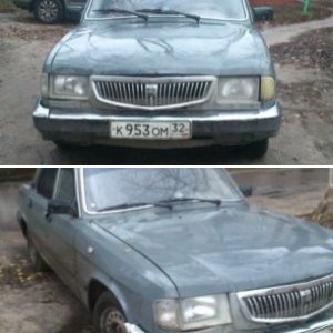 волжанка
