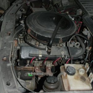 3105 Могучее сердце!