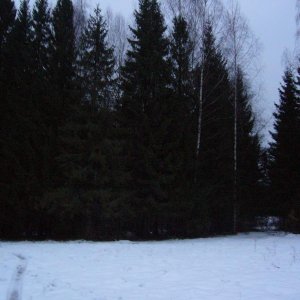 P1040569
