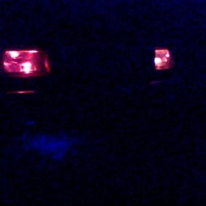 IMG0200A