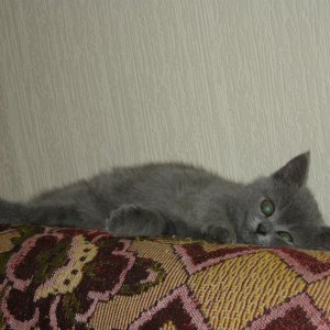 Отдыхаем-с :)