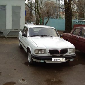 фас
