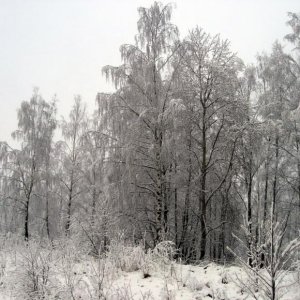 2008 12 11 14 00 35 новый размер