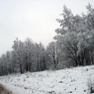 2008 12 11 14 01 08 новый размер