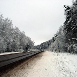 2008 12 11 14 11 50 новый размер