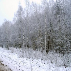 2008 12 11 16 28 19 новый размер