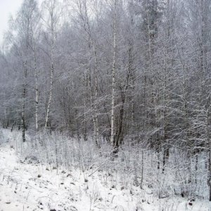 2008 12 11 16 28 31 новый размер
