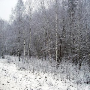 2008 12 11 16 28 41 новый размер