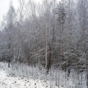 2008 12 11 16 28 51 новый размер