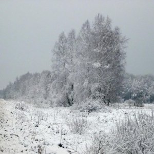 2008 12 11 16 33 38 новый размер