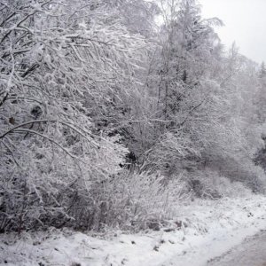 2008 12 11 16 36 48 новый размер