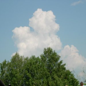 21.06.2006 16 21 34