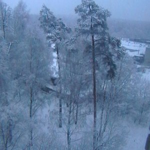Зимнее утро