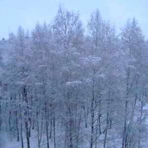 После снегопада