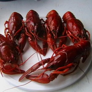 Курские раки