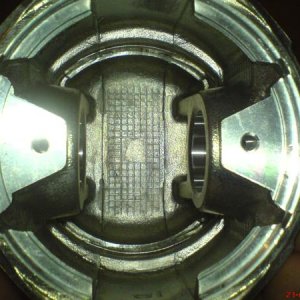 DSC00260
