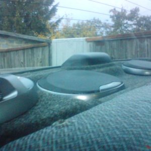 DSC00584