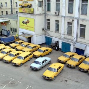 5 й парк.
Одна Белая ворона