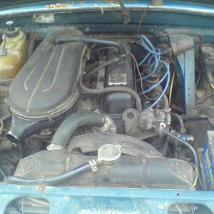 DSC00482