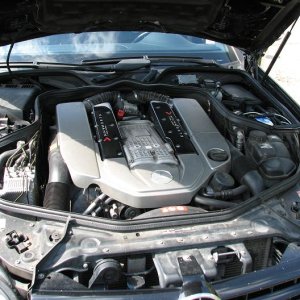 IMG 4583