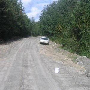 В лесу..