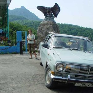 Индюк,орёл,человек и машина