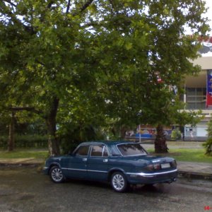 Сочи, август 2007 года ... Кольцо у цирка ...