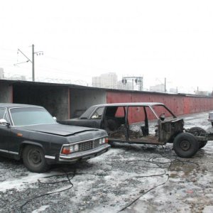 Чайки