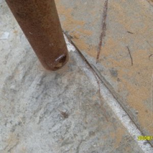 SDC10138