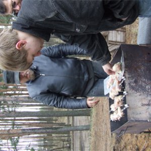 Первая проба.