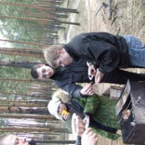 Выглянуло солнышко.