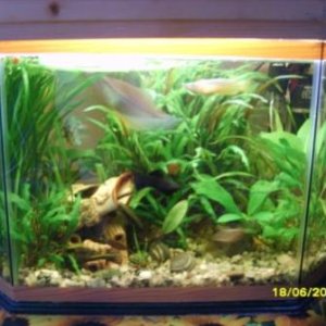 Мой первый аквариум:)
