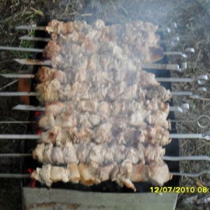 SDC10019