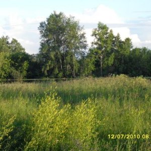 SDC10029