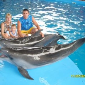 Лазаревский дельфинарий