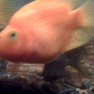 IMG 0260[1]