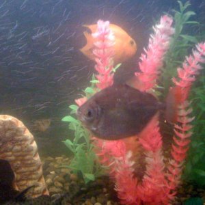 IMG 0281[1]