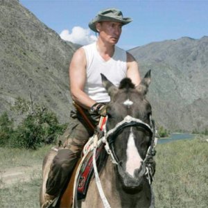 1231175994 putin horse