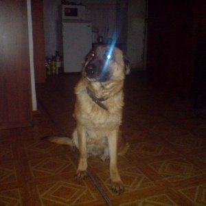 DSC00059
