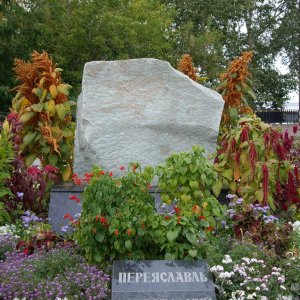 IMGP1231