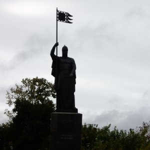 IMGP1229