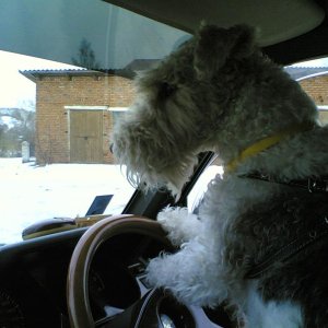 СУПЕР BOSS