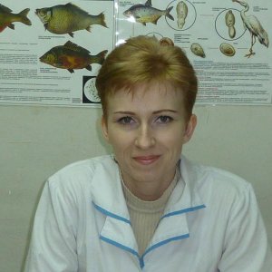 Я на работе.