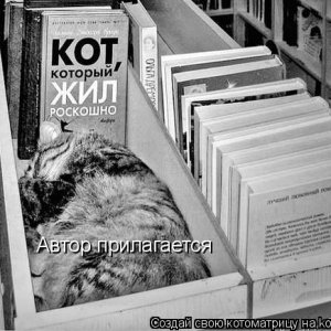 А это не мой кашак,  просто нравится.