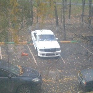 моя ласточка