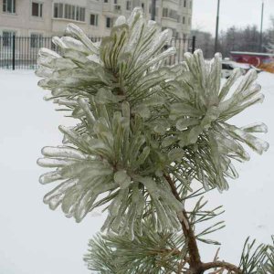 image01