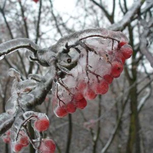 image02